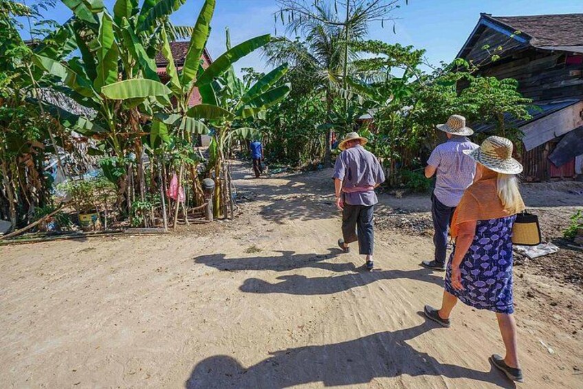 Un camino de tierra con bananeros y una casa de madera al fondo. 3