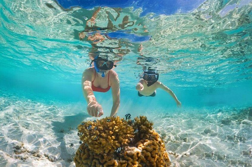 Sailing and Snorkeling Private Tour to Les Saintes 2