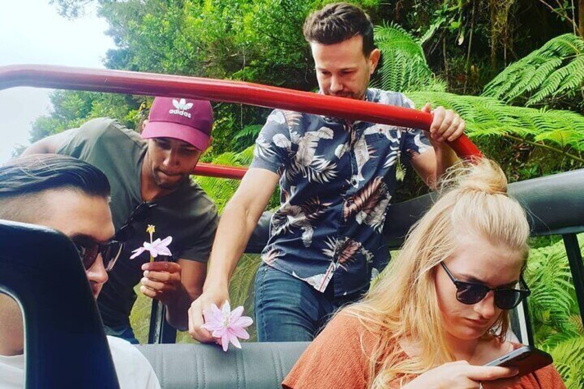 People on a boat with a red railing, surrounded by lush greenery. 4