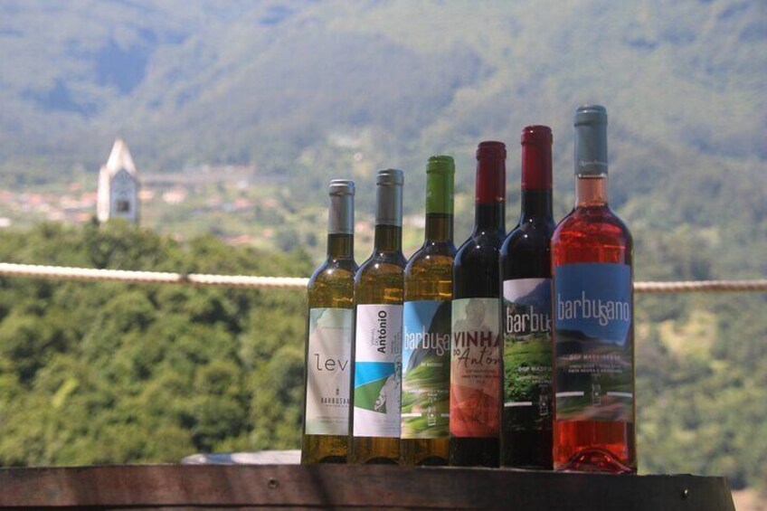 A row of wine bottles on a table with a scenic mountain backdrop. 3