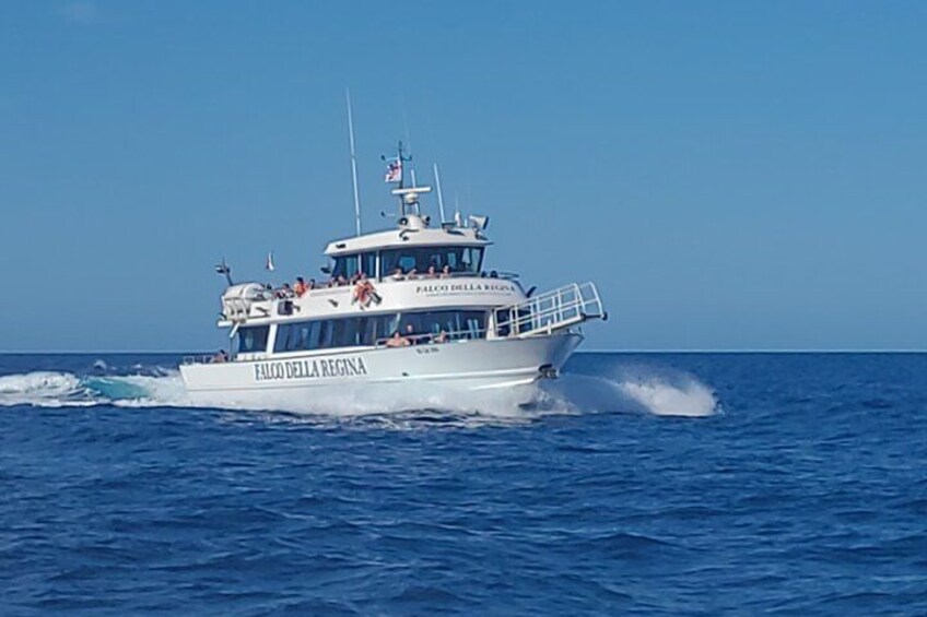 A white boat named 'Falco della Regina' on the ocean. 3