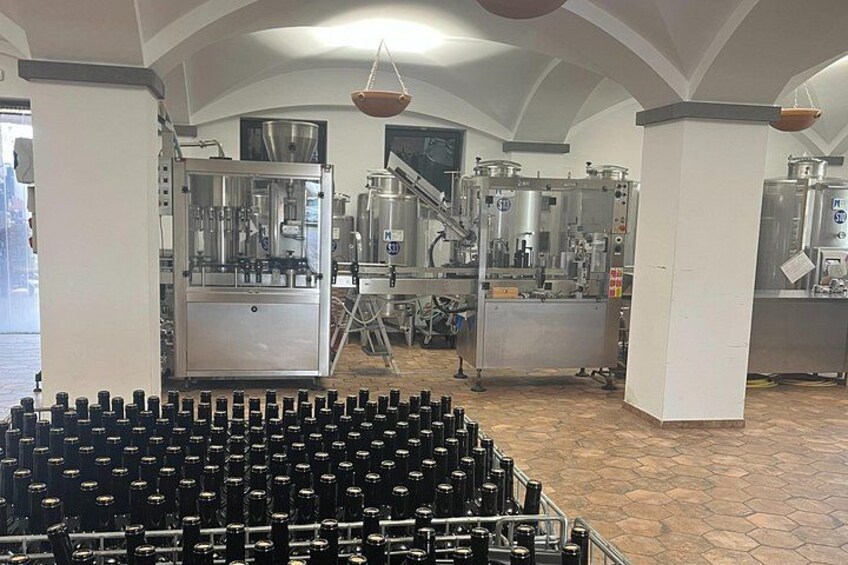Visit of Pompei and Wine Tasting with Lunch from Salerno 3