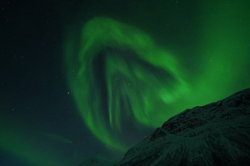 Northern Lights Tour with Hot Food and Drinks in Tromso 3