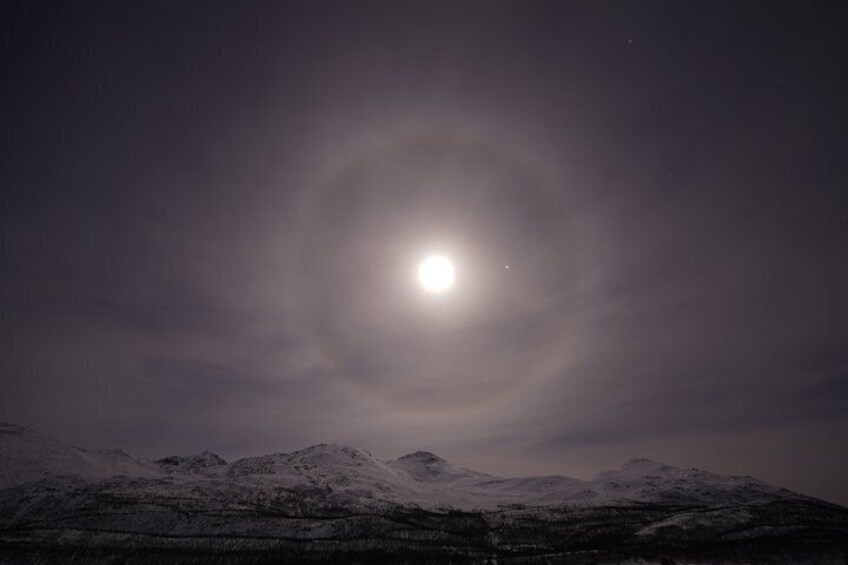 Northern Lights Tour with Hot Food and Drinks in Tromso 5