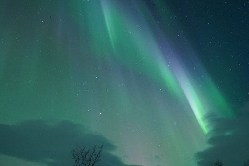 Northern Lights Tour with Hot Food and Drinks in Tromso 4