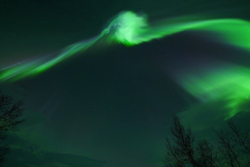 Northern Lights Tour with Hot Food and Drinks in Tromso 2