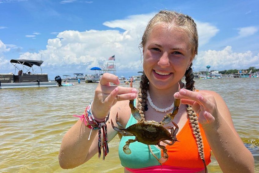 Crab island at Low tide, come find blue crabs and hermit crabs! 2