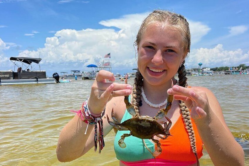 Crab island at Low tide, come find blue crabs and hermit crabs! 4