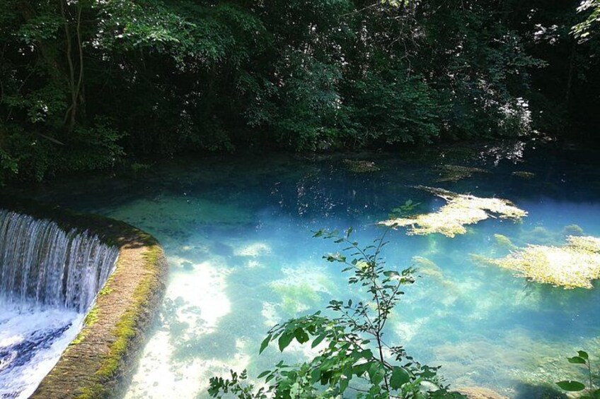 Una cascada, agua cristalina y follaje exuberante. 5