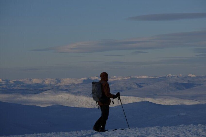 Guided Ski Touring in Ammarnäs