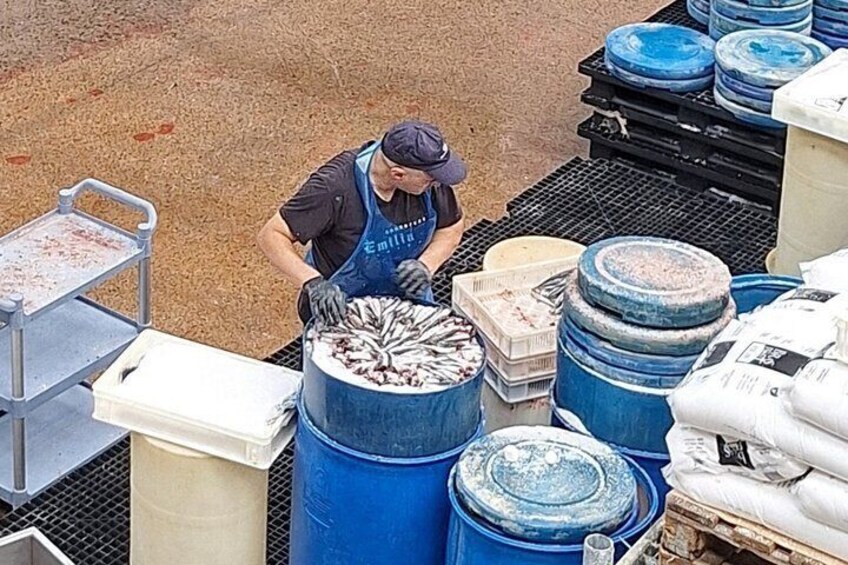 Tour to the Anchovies Factory and Santoña Marshes with Tasting 3
