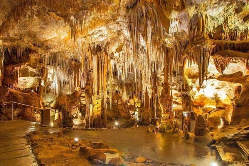 Eine Höhle mit Stalaktiten und Stalagmiten, beleuchtet durch künstliches Licht. 5