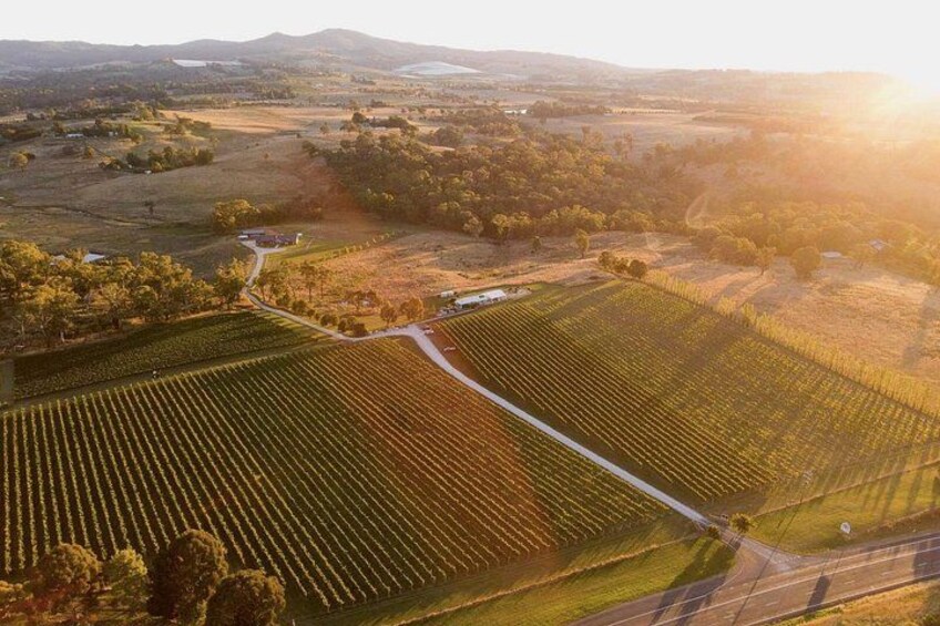 Vue aérienne d’un vignoble avec ses rangées de vignes, une route sinueuse et des collines à l’horizon. 3