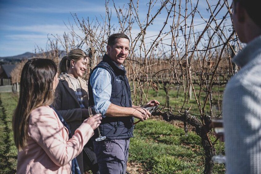 Un groupe de personnes se trouve dans un vignoble. L’une d’entre elles tient un smartphone, et une autre, un verre de vin. 2