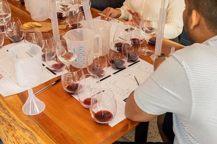 Winemaking Class at McCaffrey's Estate 3