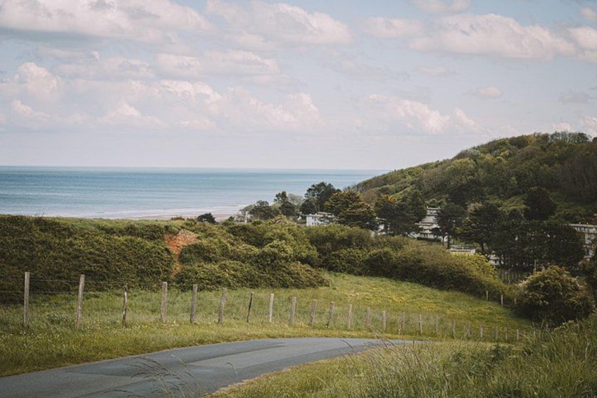 Eine Küstenstraße mit Zaun, Grünflächen und Häusern im Hintergrund. 2