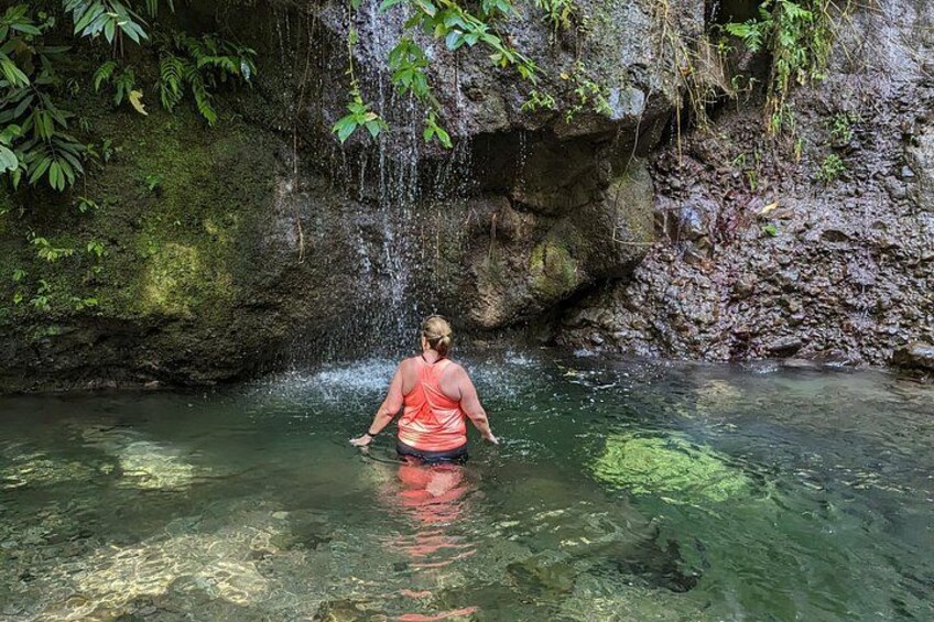 Una persona está de pie en un arroyo cristalino, con una cascada al fondo. 4