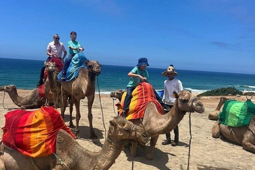 En gruppe kameler med ryttere på en strand, hvor nogle kameler ligger ned. 4