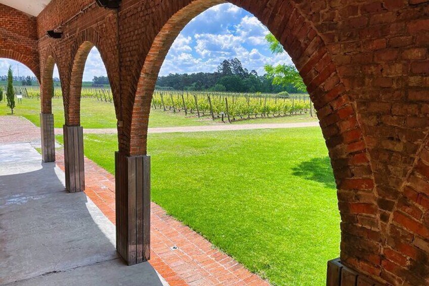 Half Day Private Canelones Wine Tour from Montevideo 