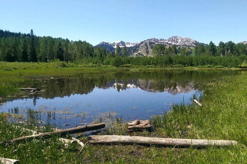 Ein ruhiger See mit Spiegelungen, umgeben von Gras und Bäumen, mit Bergen im Hintergrund. 4