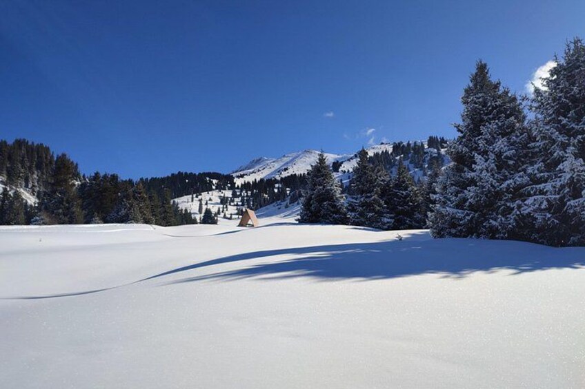 A snow-covered landscape with a ski slope, trees, and a mountain in the background. 2