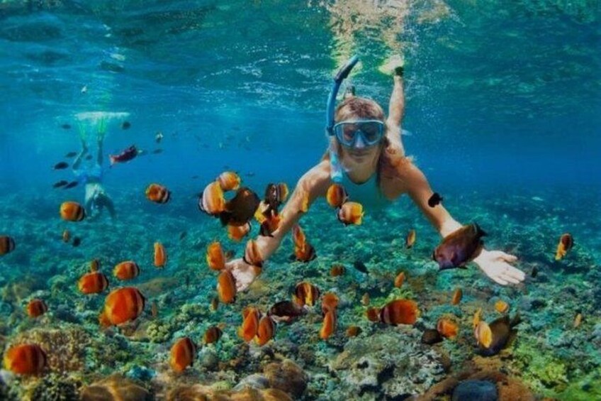 Una persona fa snorkeling sott'acqua circondata da diversi pesci. 5