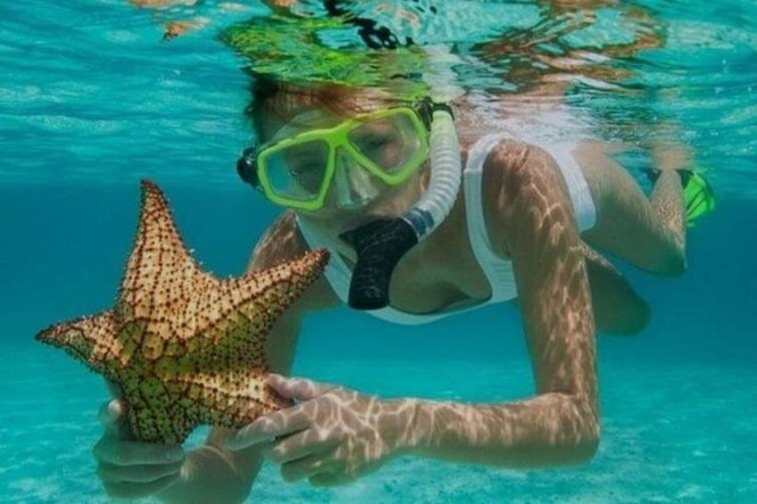 Una persona fa snorkeling sott'acqua con una stella marina. 1