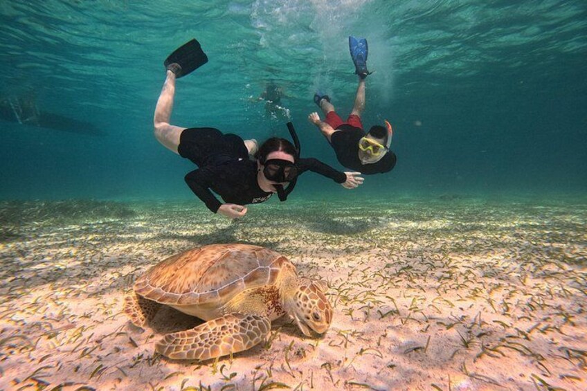 Let's snorkel Hol Chan the Best Marine Reserve in Belize 4