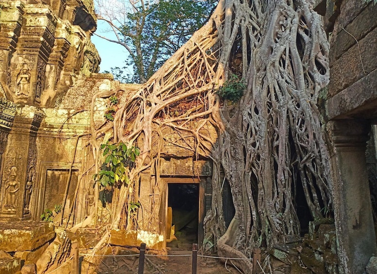 Picture 9 for Activity One Day Exploration to Angkor Wat, Angkor Thom & Ta Prohm 2