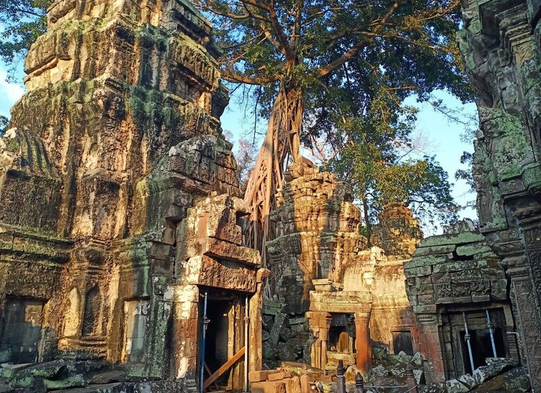 Picture 15 for Activity One Day Exploration to Angkor Wat, Angkor Thom & Ta Prohm 5