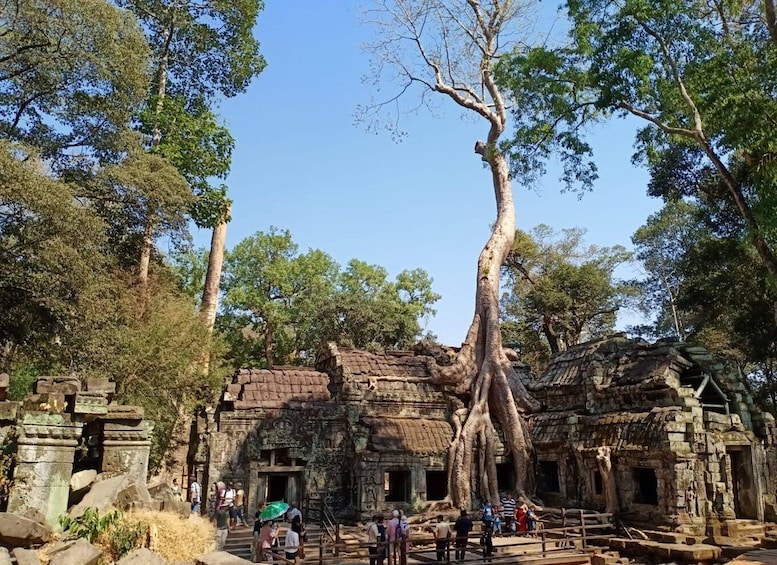 Picture 17 for Activity One Day Exploration to Angkor Wat, Angkor Thom & Ta Prohm 3