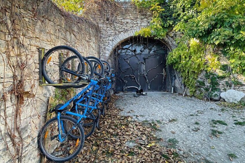 A blue bicycle leaning against a stone wall, a tunnel entrance, and a leaf-covered ground. 5