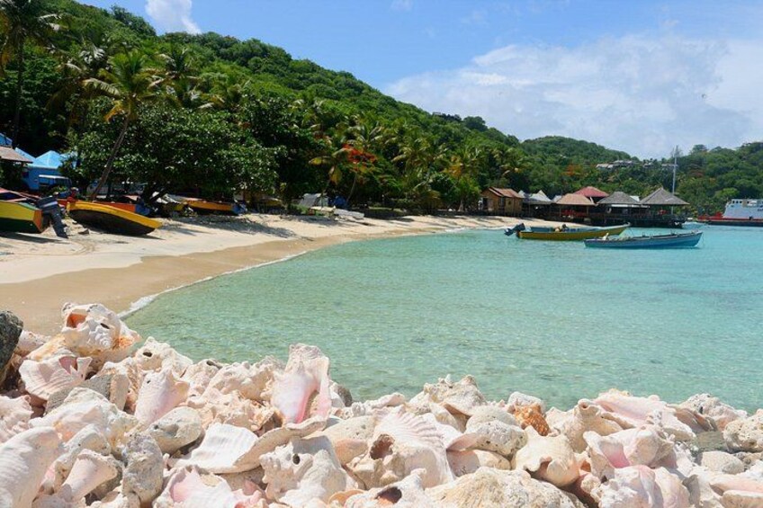 Private Tour St Vincent Half Day 4