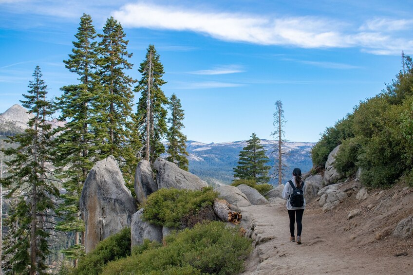 A hiker on a rocky trail surrounded by tall pine trees and mountains in the background. 2