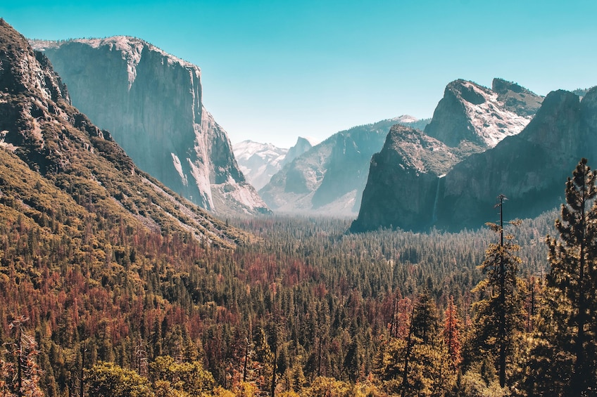 A mountainous landscape with a dense forest and a prominent cliff. 5