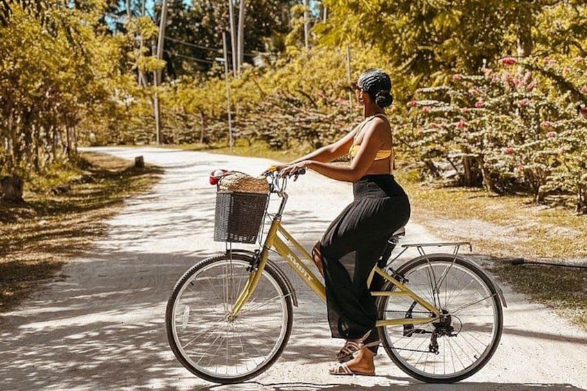 Bike Adventure 2