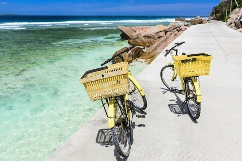 Two yellow bicycles parked on a concrete path by the ocean. 5