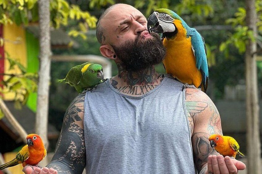 A person with tattoos on their arms and a tank top, holding two parrots. 2