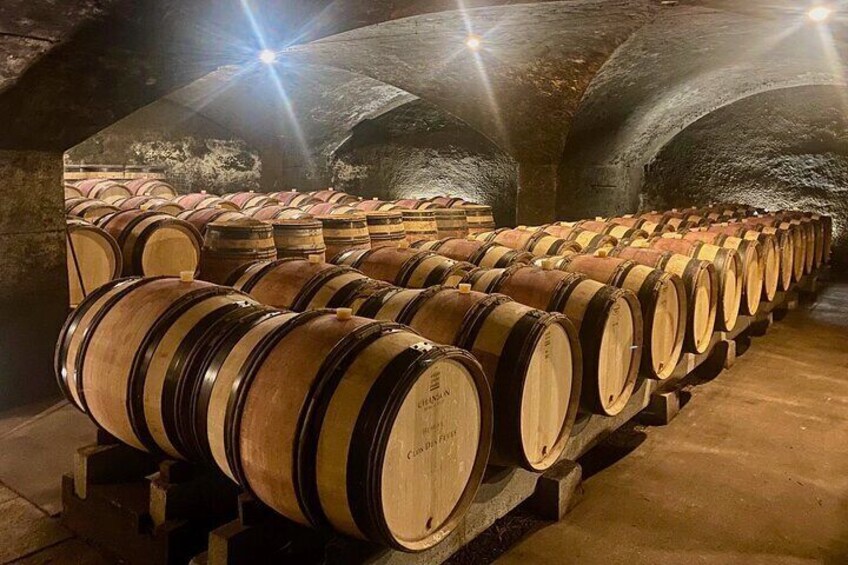 Exquisite Red & White Wines Private Trip to Burgundy from Paris