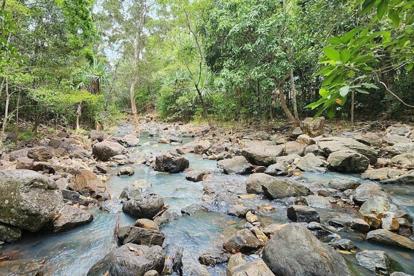 A rocky stream with surrounding dense forest. 5
