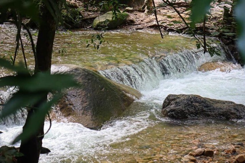 Beach, Tequila & River Tour with Conchas Chinas Beach (4 Hours) 3