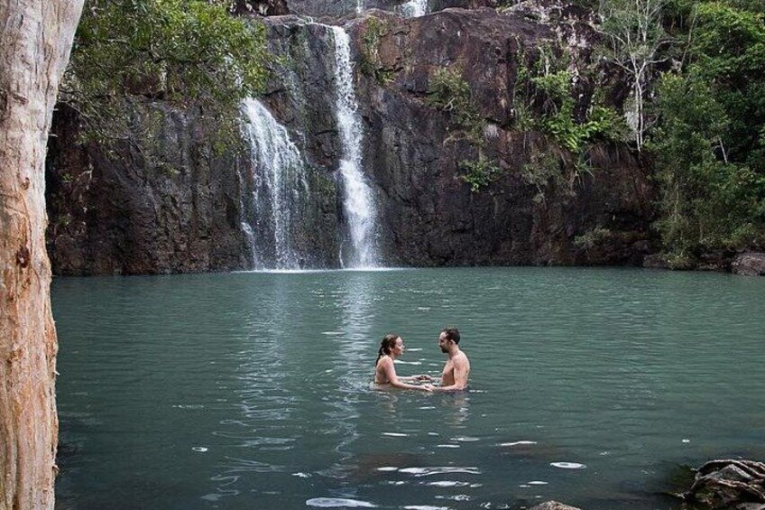Airlie Beach: 3-hour Cedar Creek Small-Group Eco Half-Day Tour 2