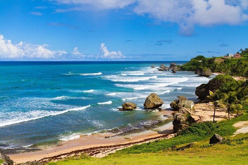 Full Day Coast to Coast Private Tour in Barbados 5