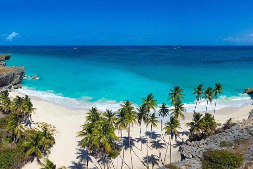 Full Day Coast to Coast Private Tour in Barbados 4