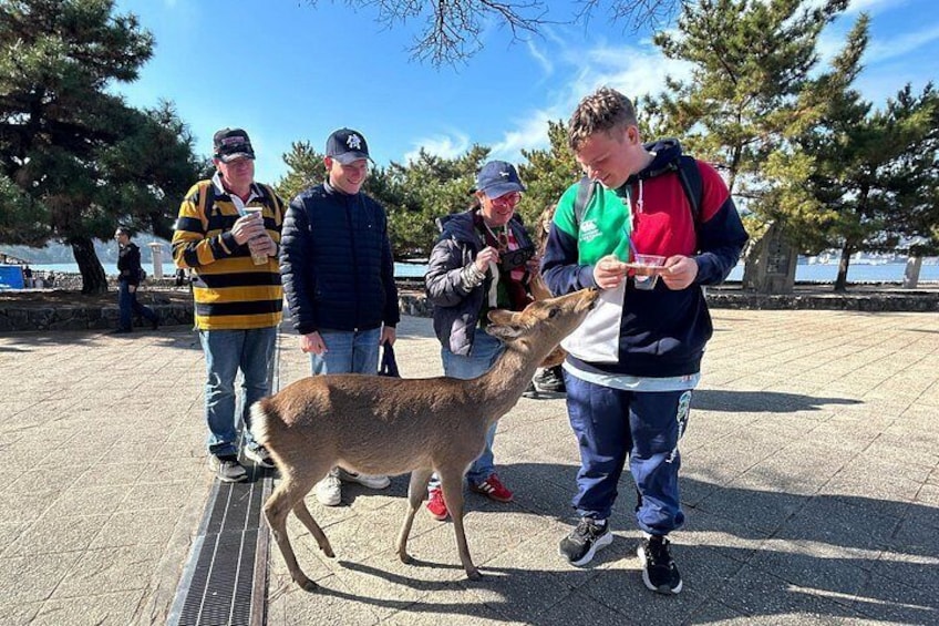 1DAY Hiroshima Miyajima and Bomb Dome Private Tour 3