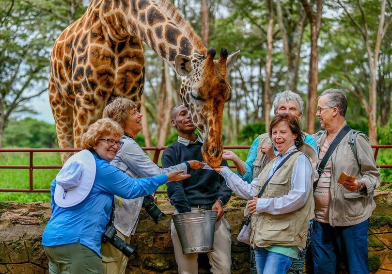 Een groep mensen voert een giraffe in een dierentuinverblijf. 1