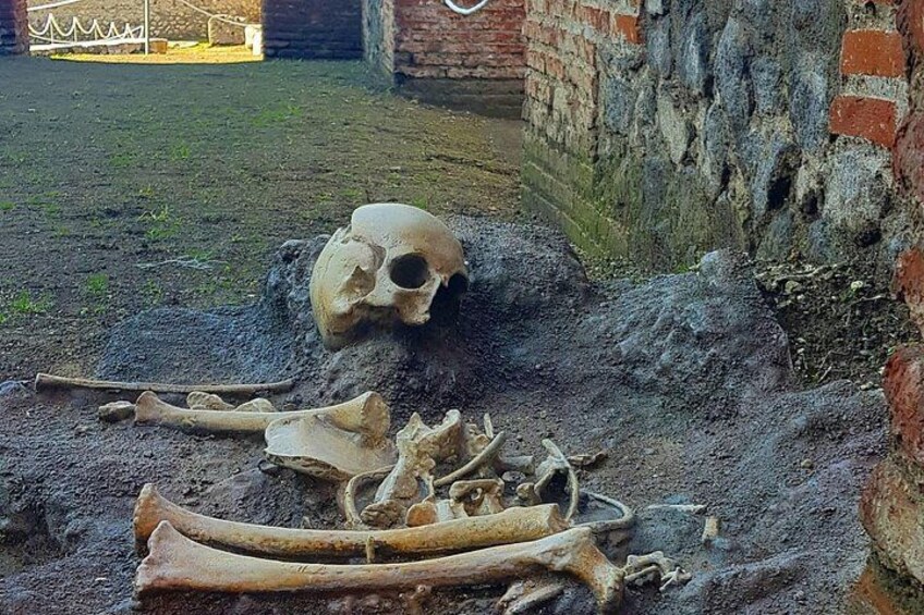 Restos esqueléticos y huesos al aire libre, con paredes de ladrillo y una reja metálica. 3