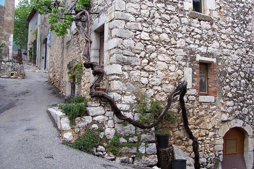 5h Private excursion on the FrenchRiviera from Cannes or Nice 2