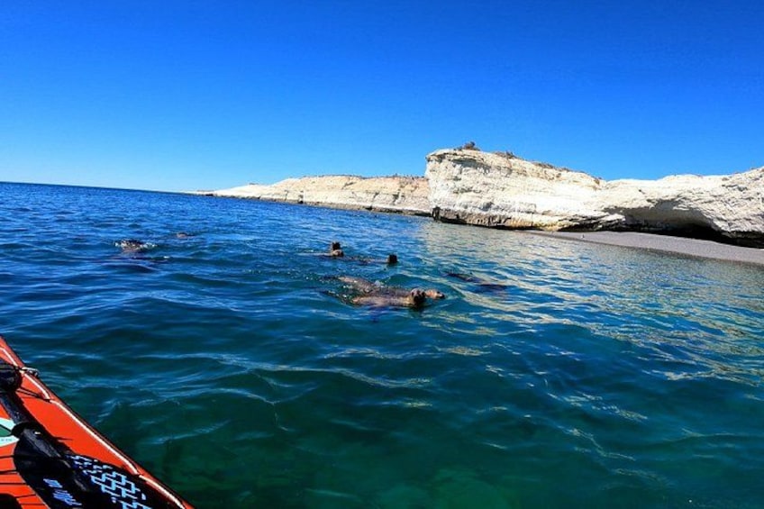 A clear blue sea, rocky cliffs, and a boat with people swimming. 5