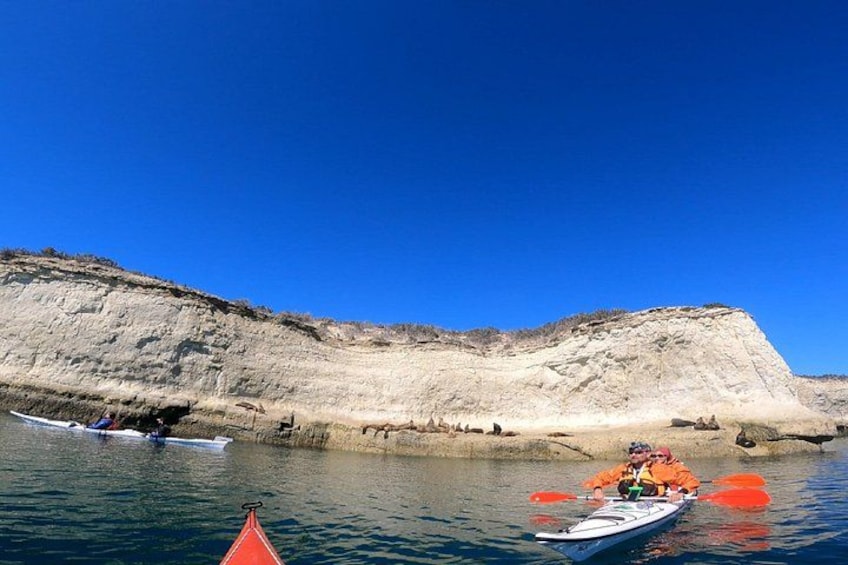 A kayaker on a river with cliffs in the background. 4